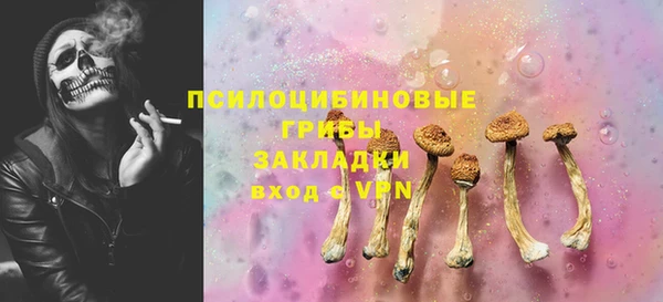 трава Ельня