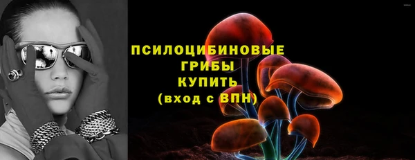 прущий лед Елабуга