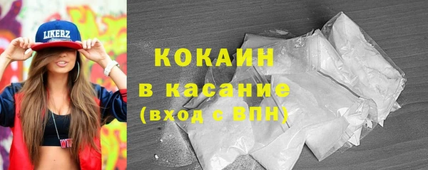 трава Ельня