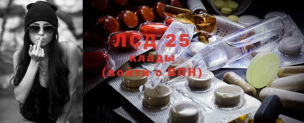 трава Ельня