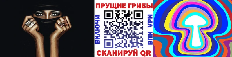 Псилоцибиновые грибы мухоморы  Купить  Дмитриев 